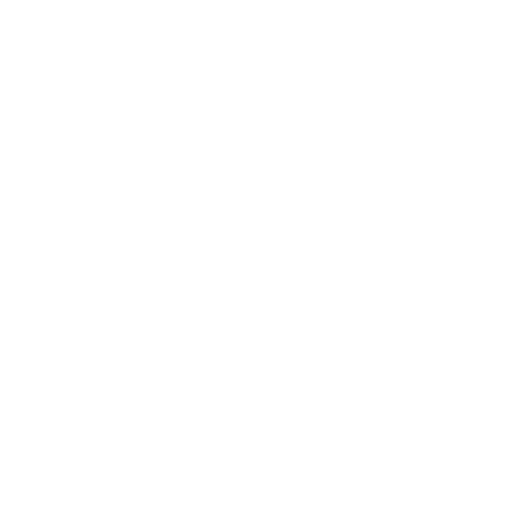 light bulb icon